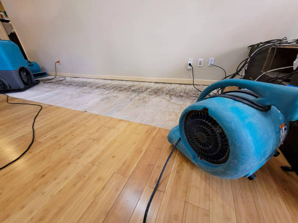 Professional Structural Drying technician working in Accokeek, MD